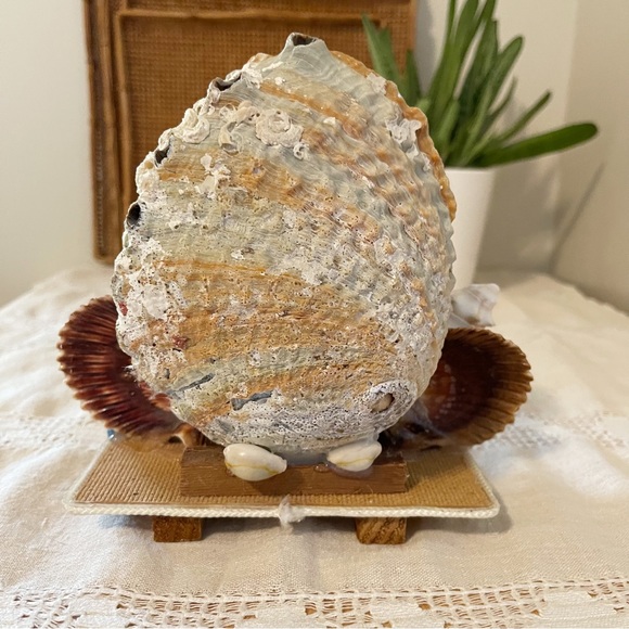 VTG | Retro 1950s MCM Abalone Shell Art Sculpture - Picture 11 of 16